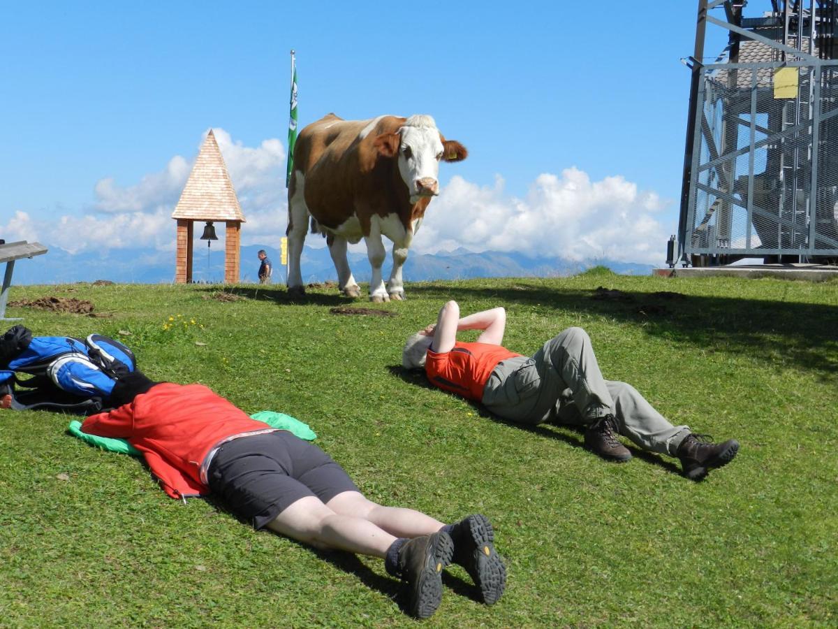 Ferienhäuser Thalbach Heiligenblut am Großglockner Exterior foto