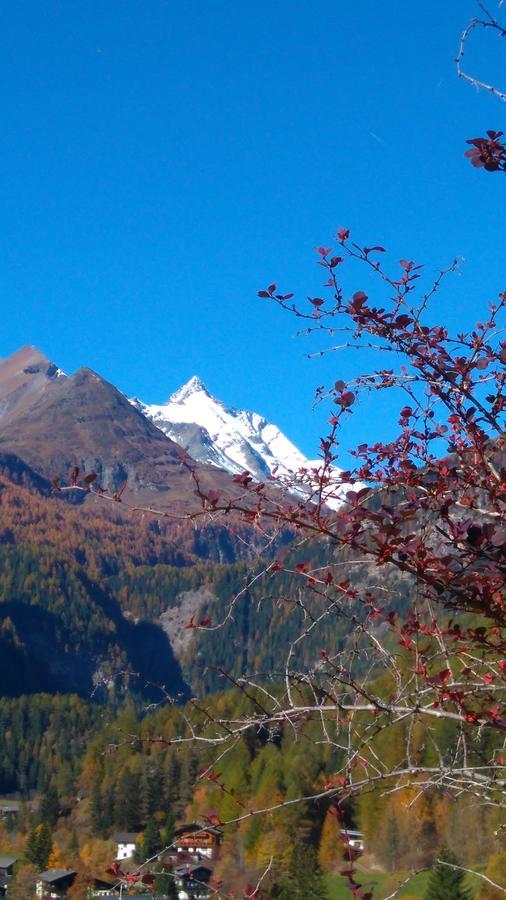 Ferienhäuser Thalbach Heiligenblut am Großglockner Exterior foto